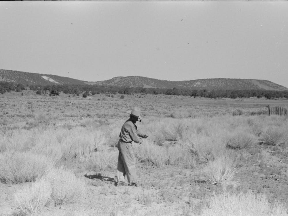 Water Witch Following Forded Stick In Search For Water, Pie Town, New Mexico By Russell Lee