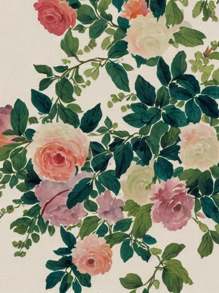 Goniopora Vintage Graphic Watercolour