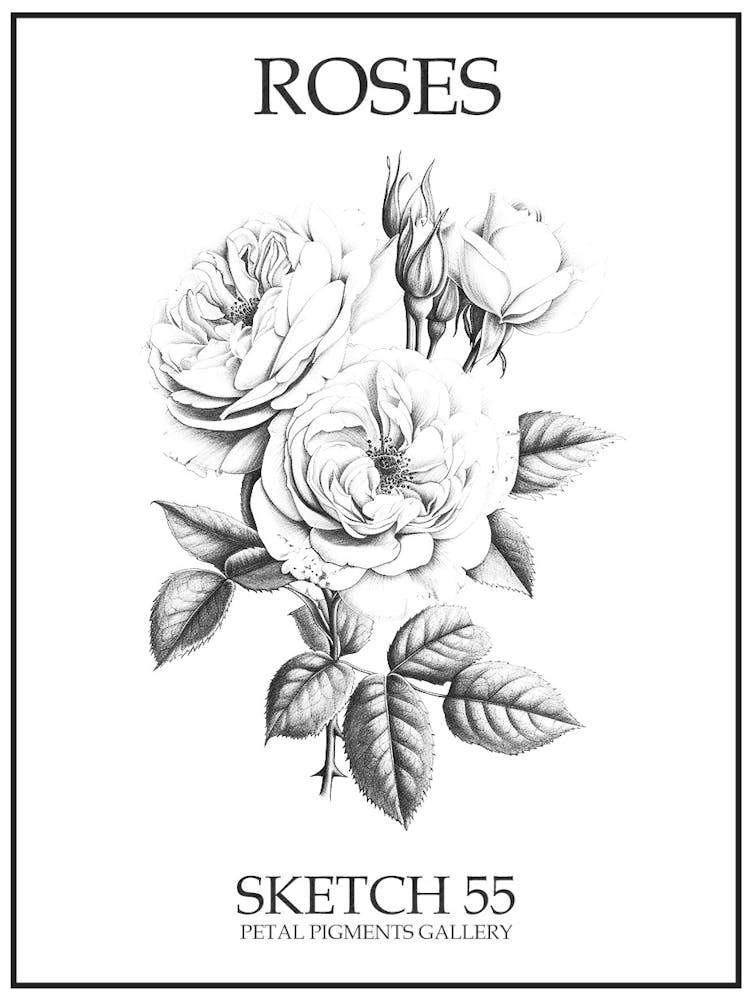 Rosenskizze 55 Poster