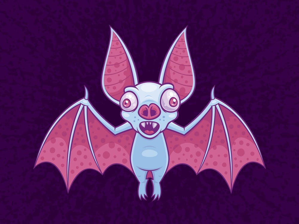 Albino Vampire Bat