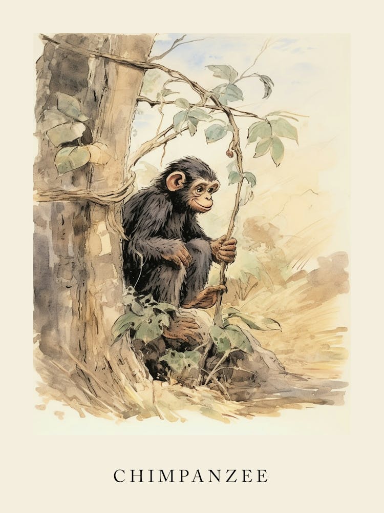 Beatrix Potter Inspired  Animal Watercolour Chimpanzee 2