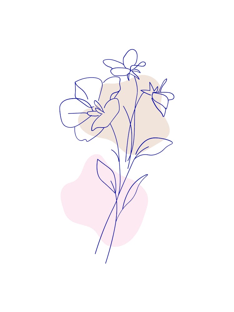 Flower Bouquet Vector Illustration