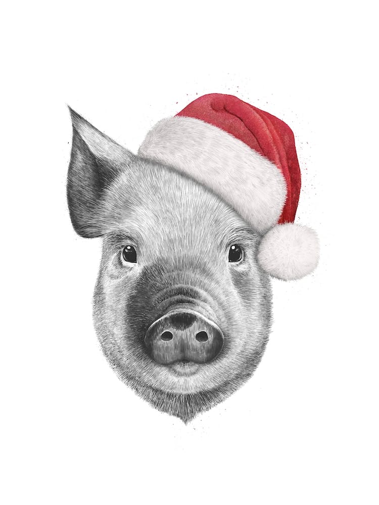Christmas Pig