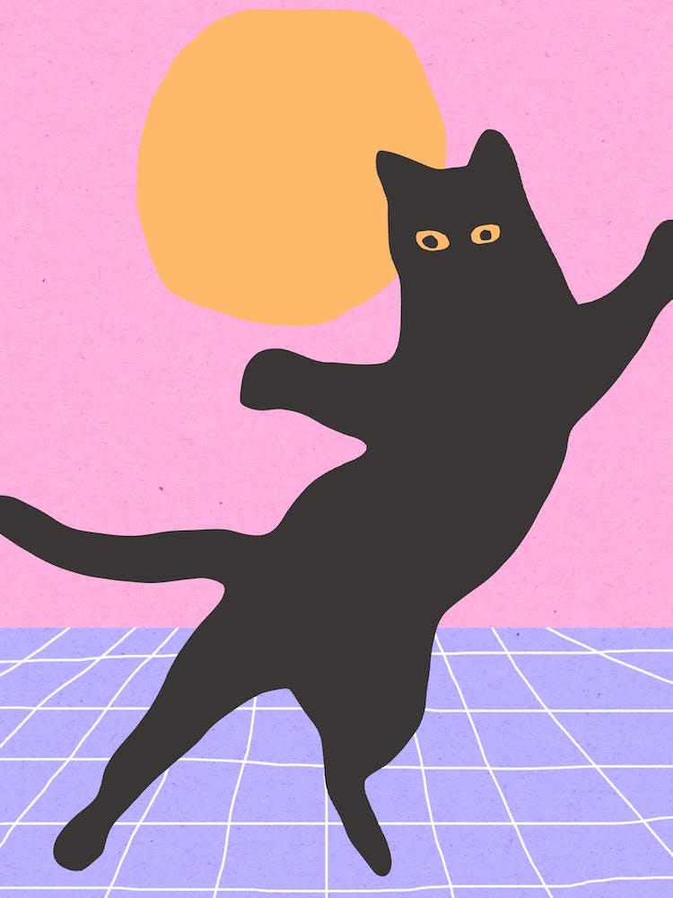 Funny Minimal Black Disco Cat Jumping 2
