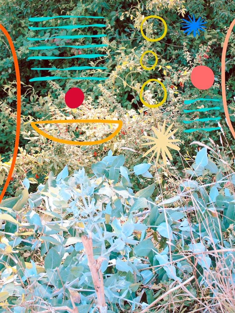 Bunte Formen im Garten