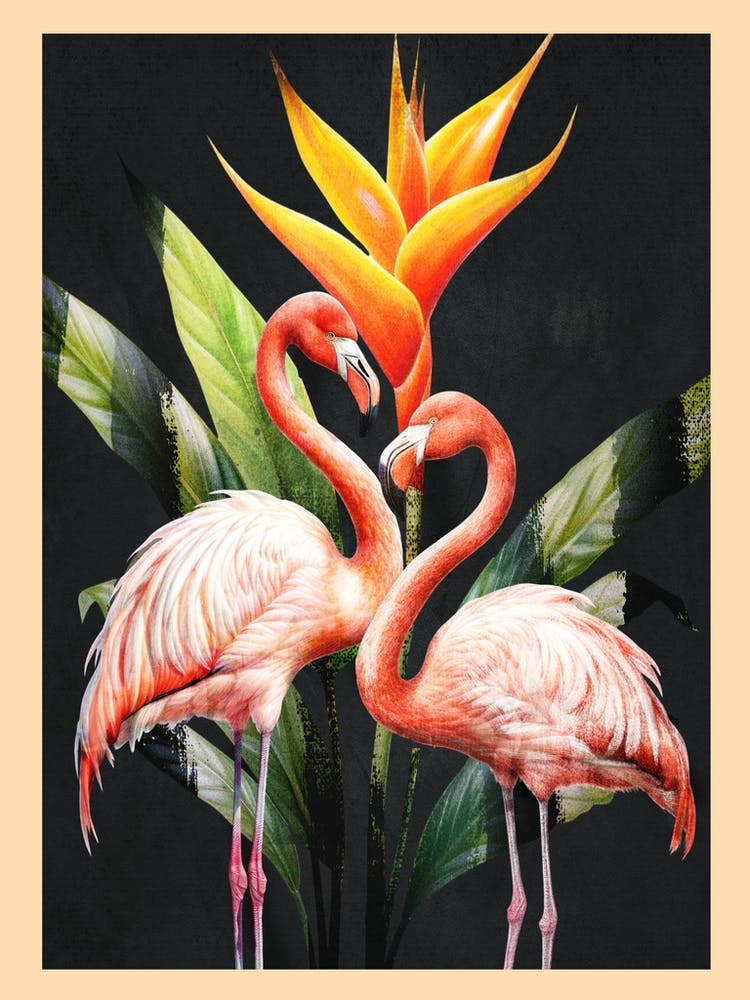 Tropical Flamingos I