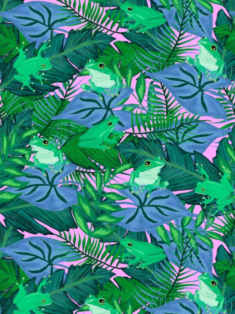 Hiding Tropical Tree Frogs in Blue Green Foliage on Pink