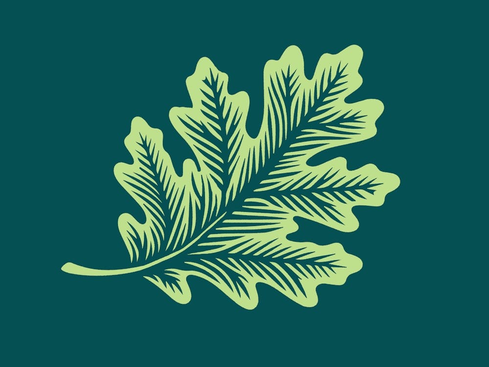 Oak Leaf in a woodcut style
