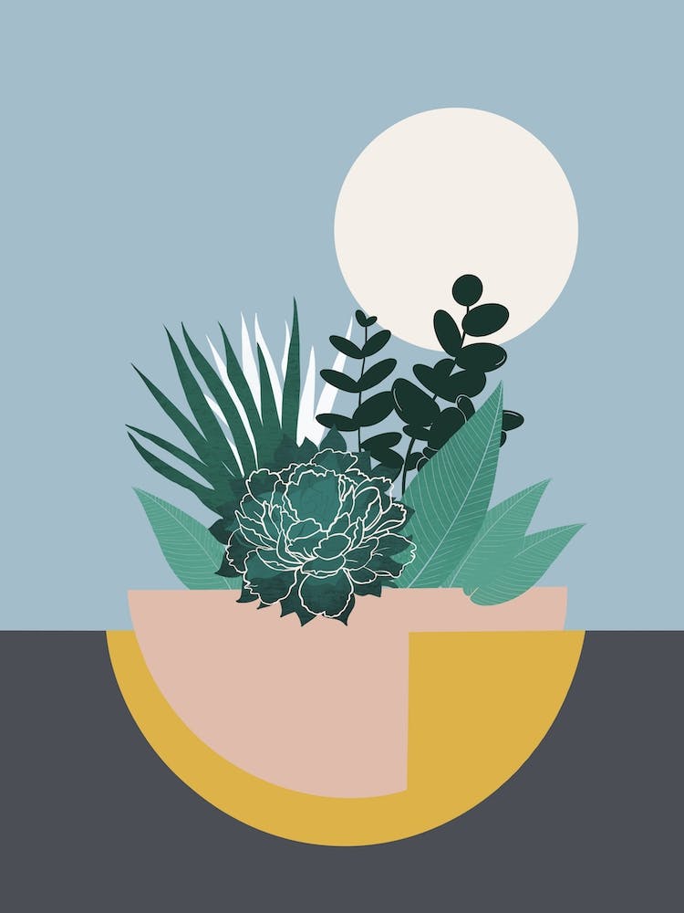 Colourful Succulent Planter