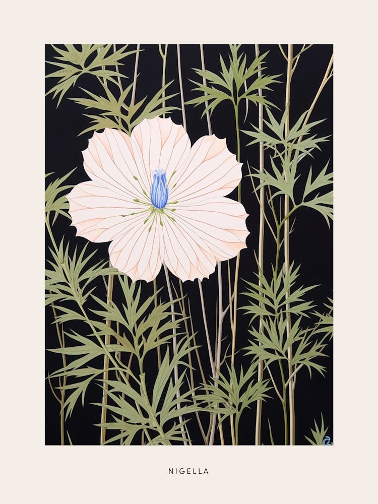 Flower Illustration Love In A Mist Nigella 3 Poster