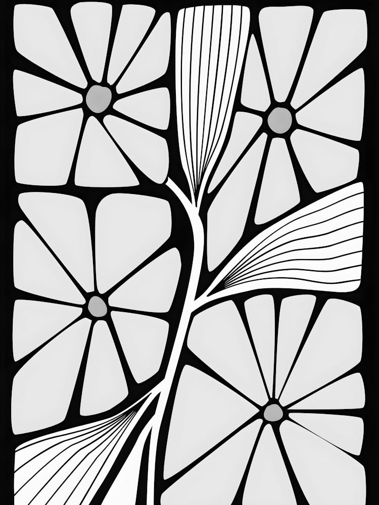 Black And White Flower 49