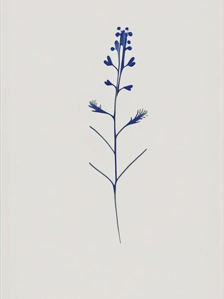 Speedwell Wildflower Simplicity