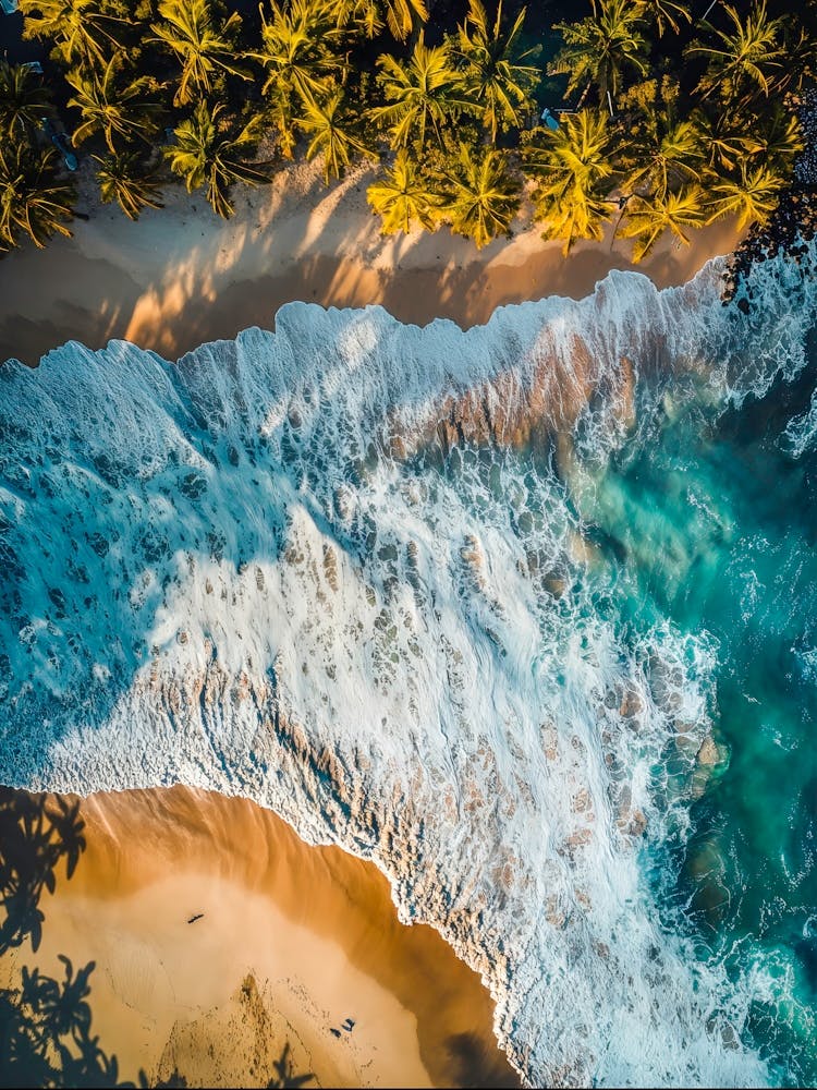 Beach and waves