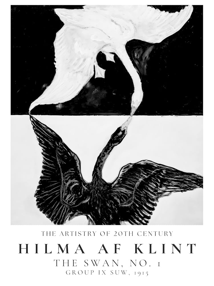 Black Swan 2