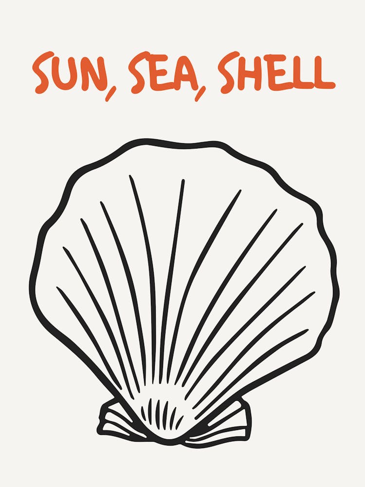 Sun Sea Shell