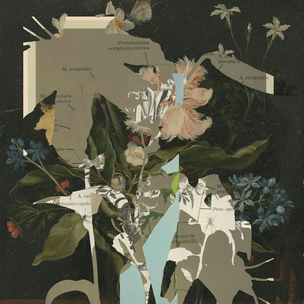 The First Plant · D2
