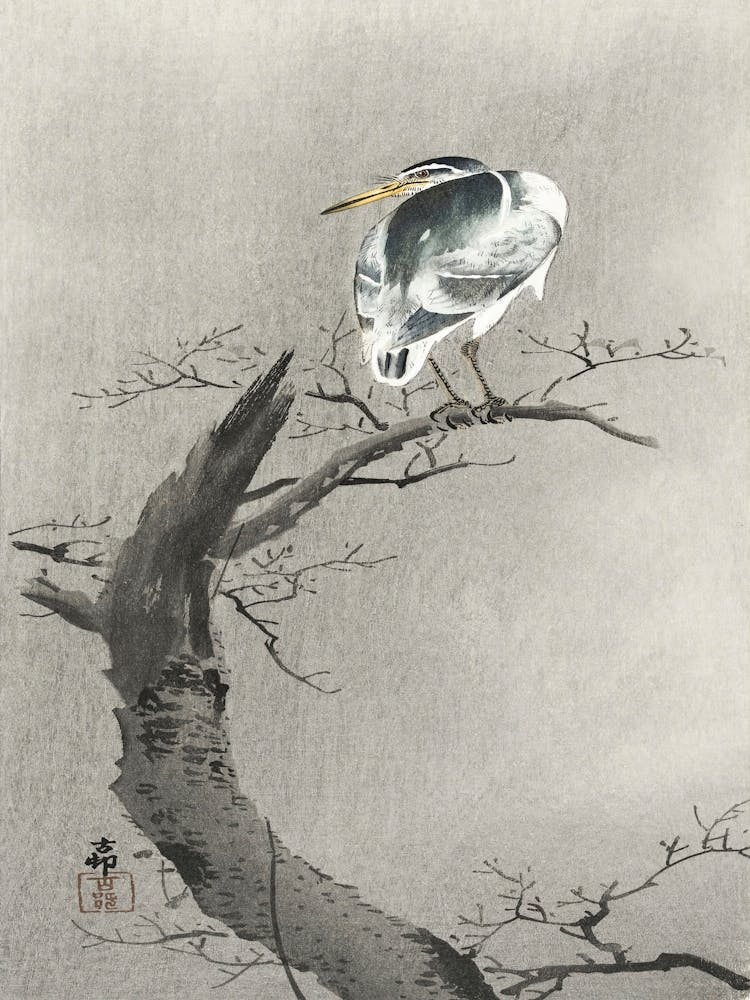 Kwak On Branch (1900 1936), Ohara Koson