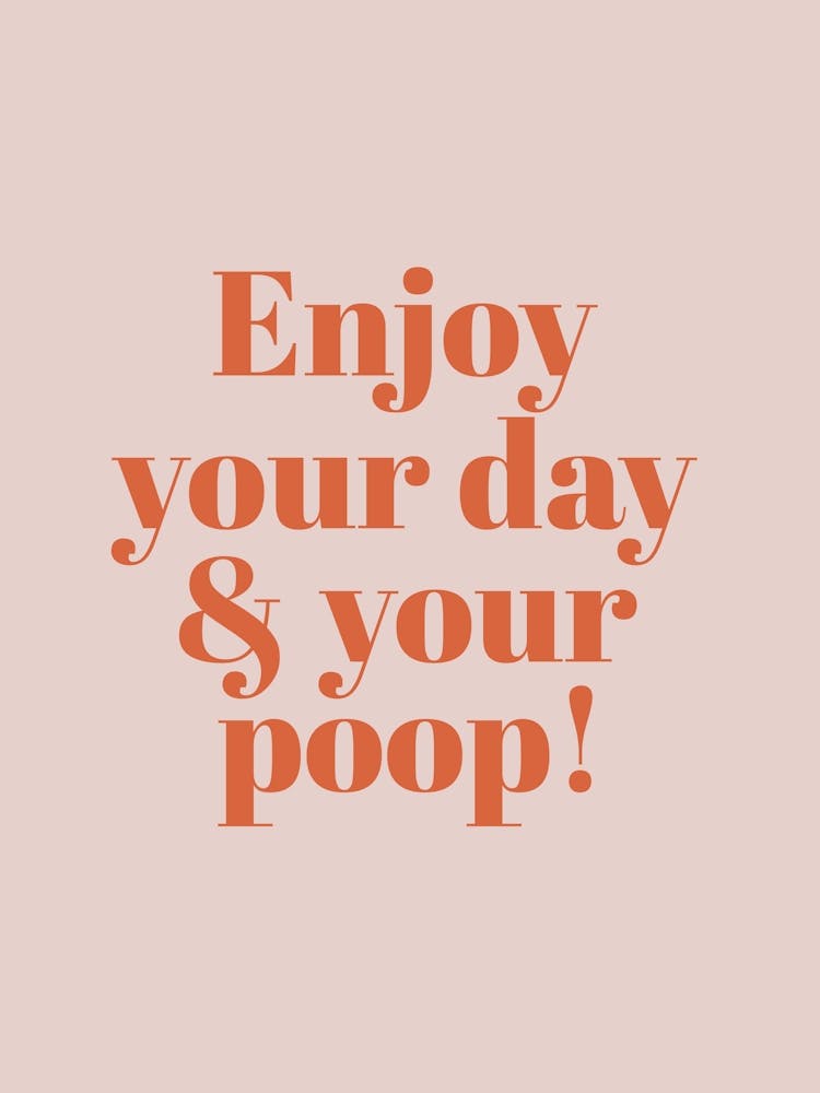 Enjoy Your Day Inspirational Humour Bathroom Typography Colourful Poster Print Art Lover Inspired