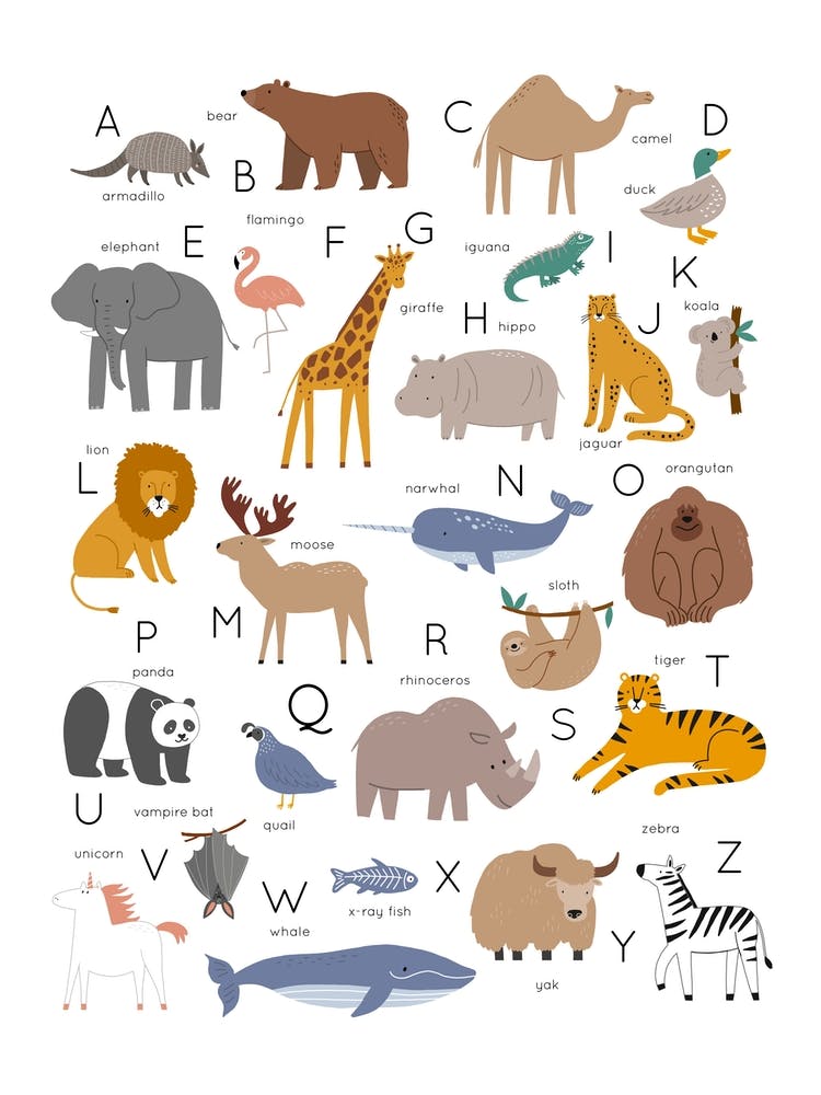 Animal Alphabet White
