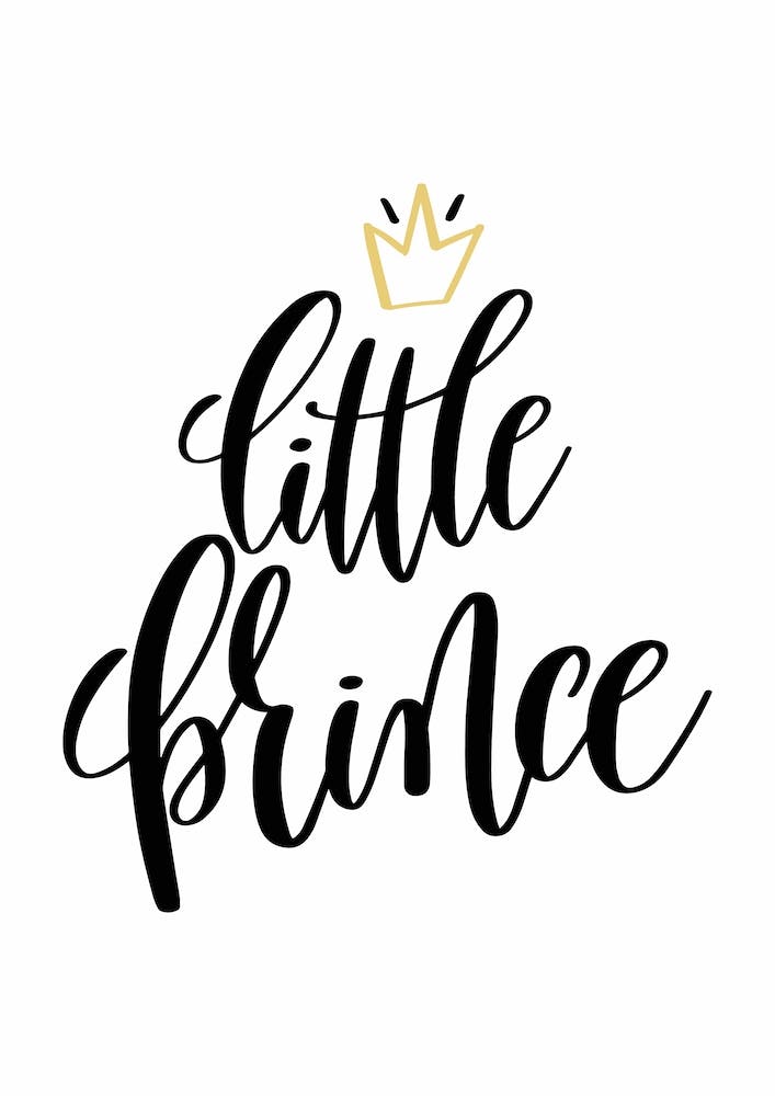 Little Prince Black