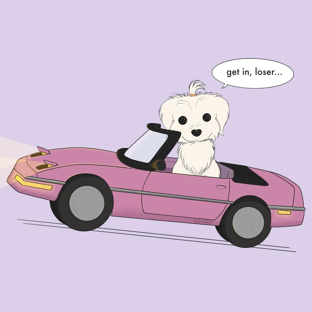 Get in, looser!