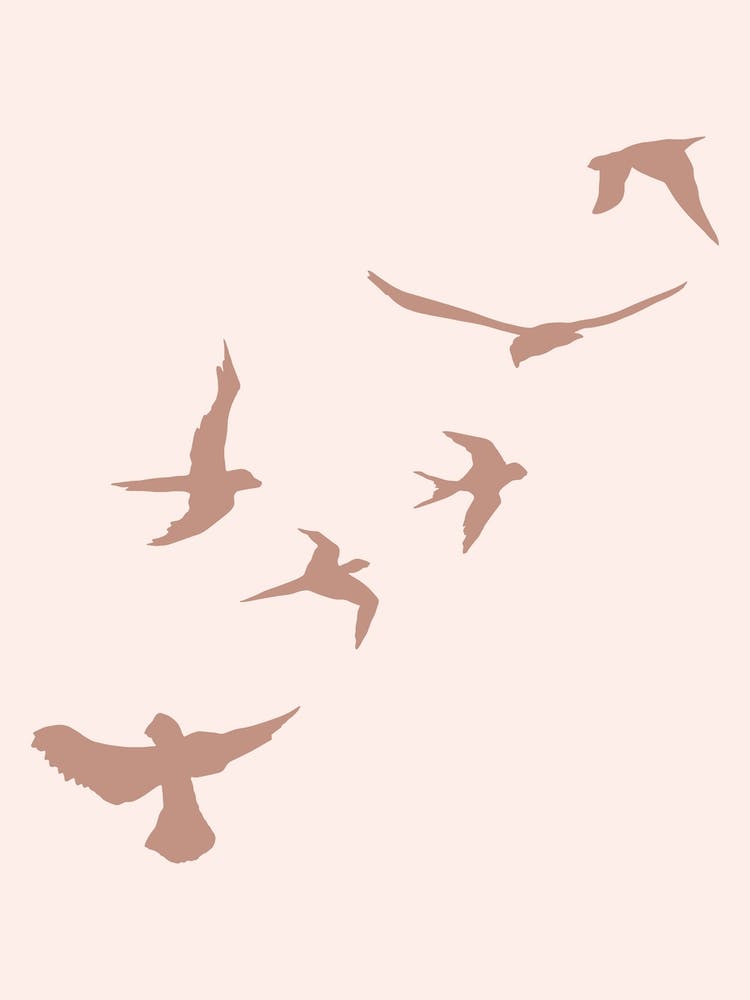 Sky Of Birds Pink