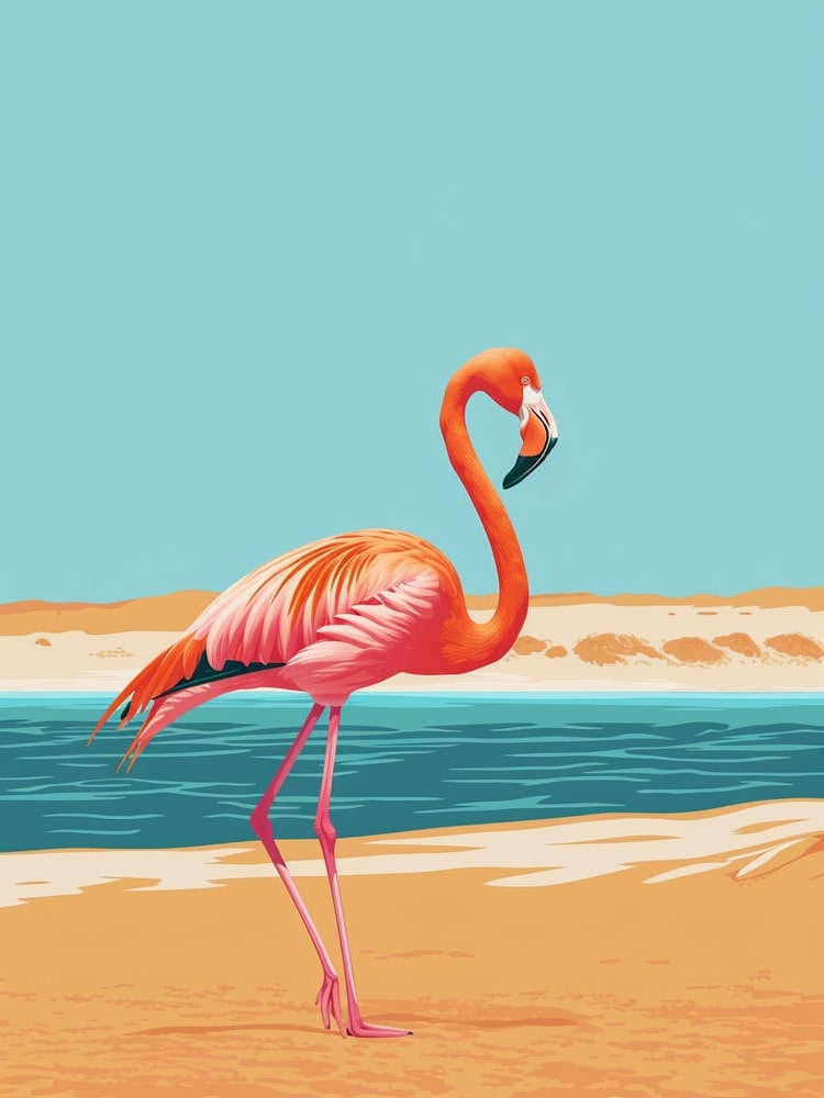 Greater Flamingo Walvis Bay Erongo Namibia Tropical Illustration 1