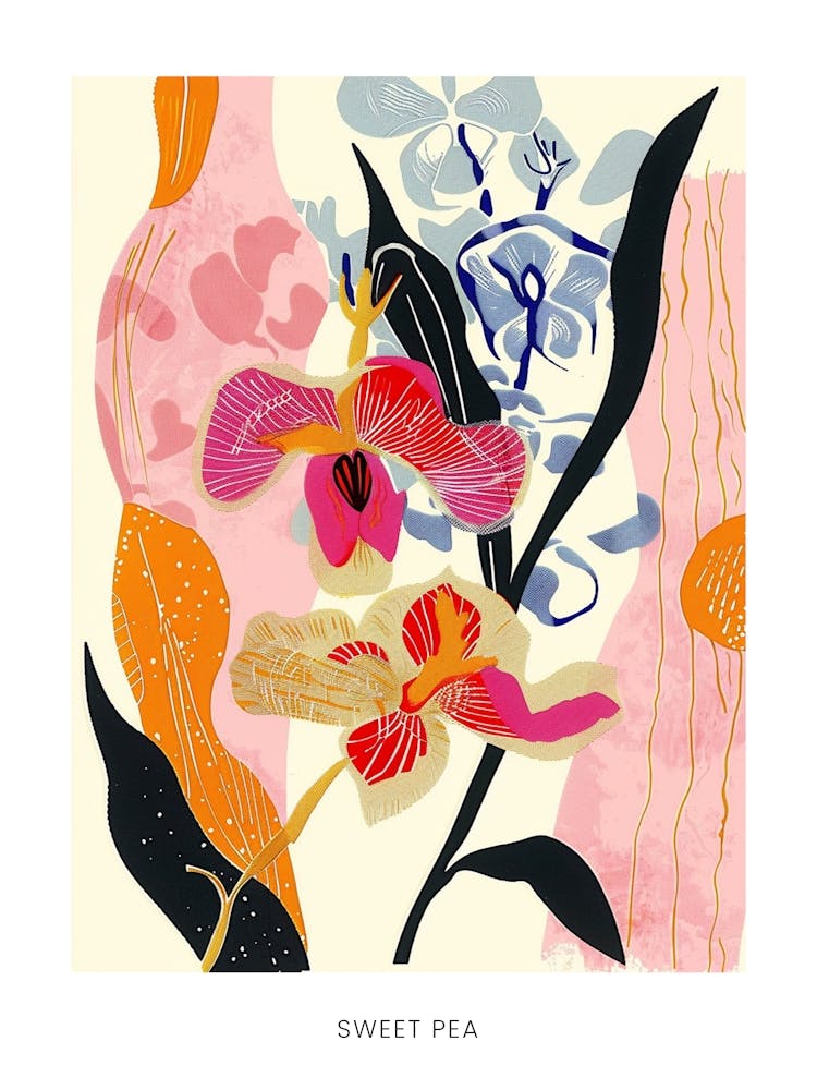 Colourful Flower Illustration Poster Sweet Pea 3