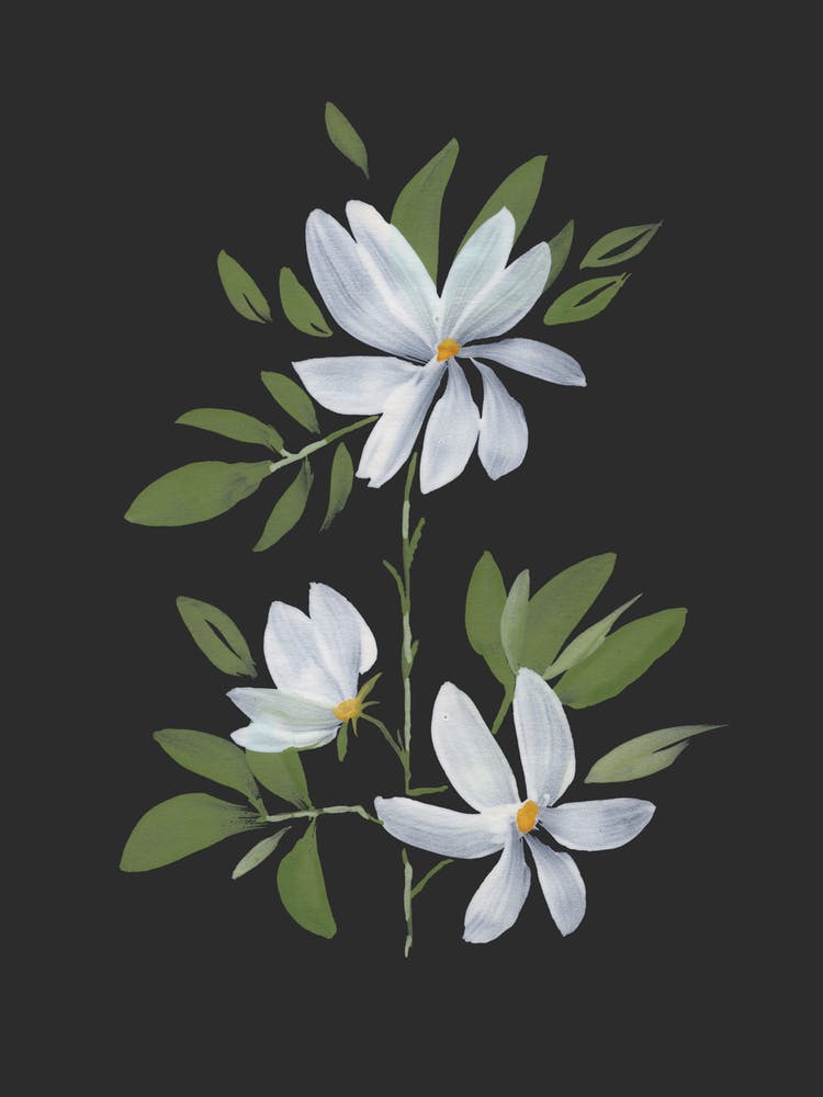 Three Magnolias 1