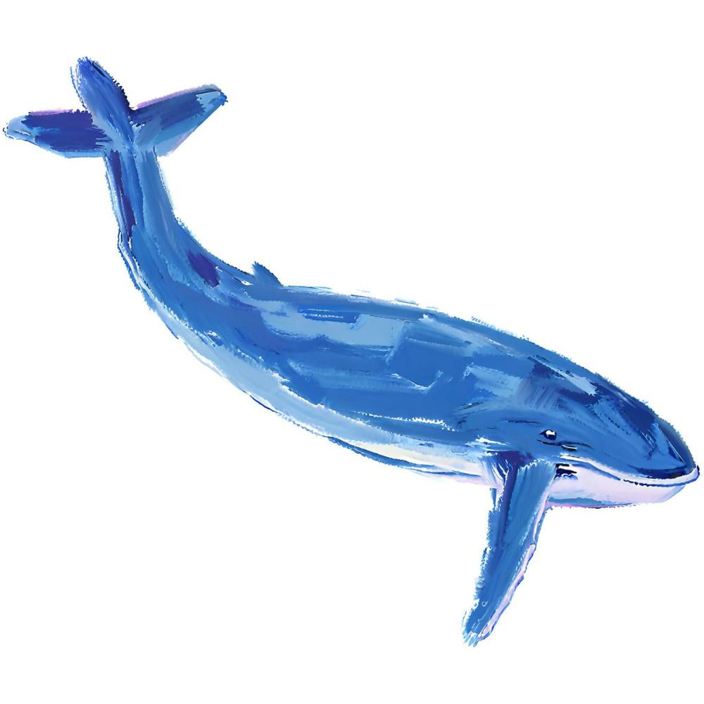 Blue Whale 01