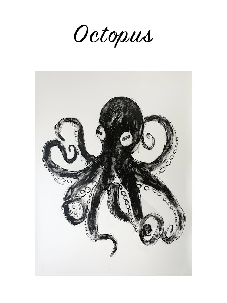 B&amp;W Octopus Poster