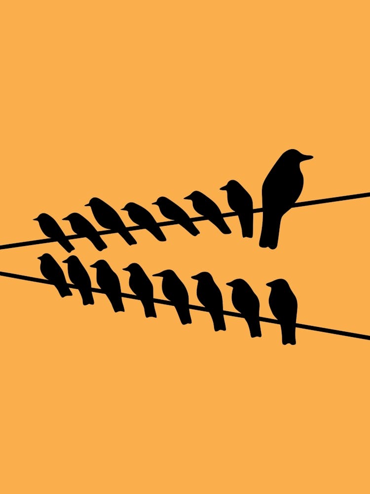 Birds On A Wire 1