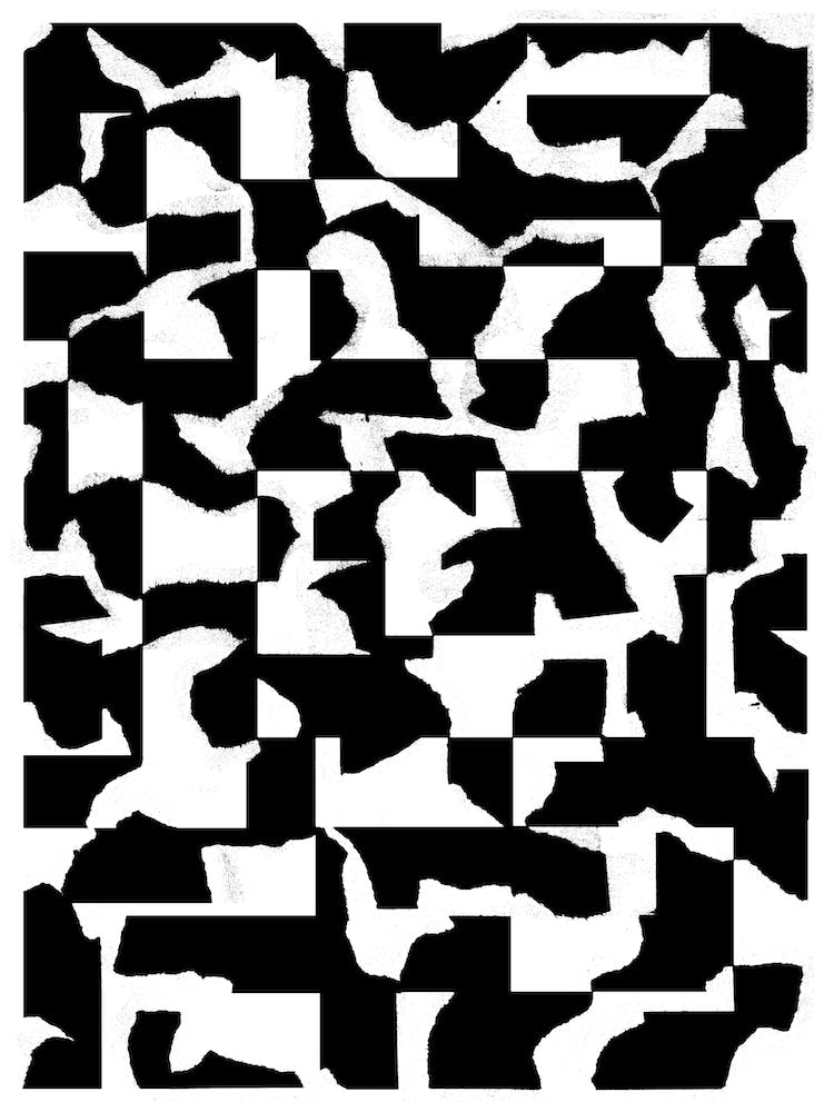 Paper Schreds