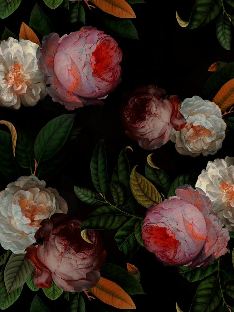 Antique Jan Davidsz De Heem Roses Night Garden