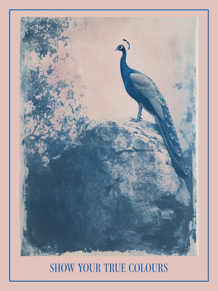 Navy Blue Peacock Portrait Cyanotype Inspired 1 Poster