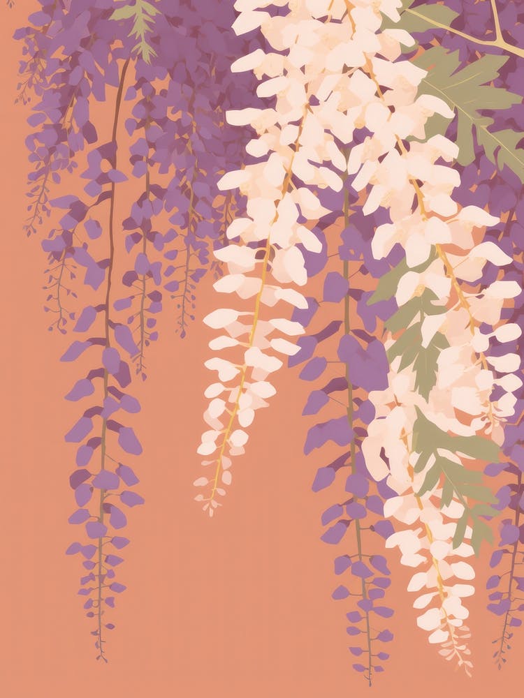 Wisterias Flower Big Bold Illustration 1