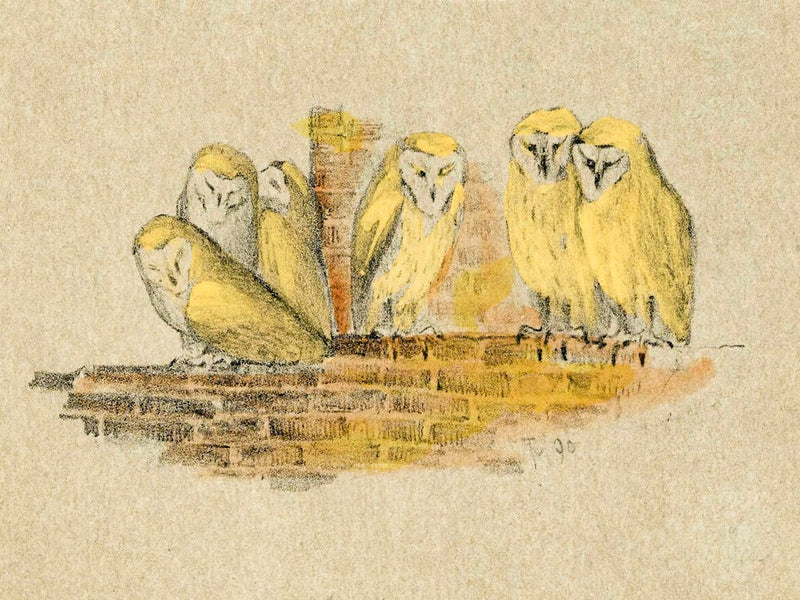 Greeting Card With Six Owls (1890),Theo Van Hoytema