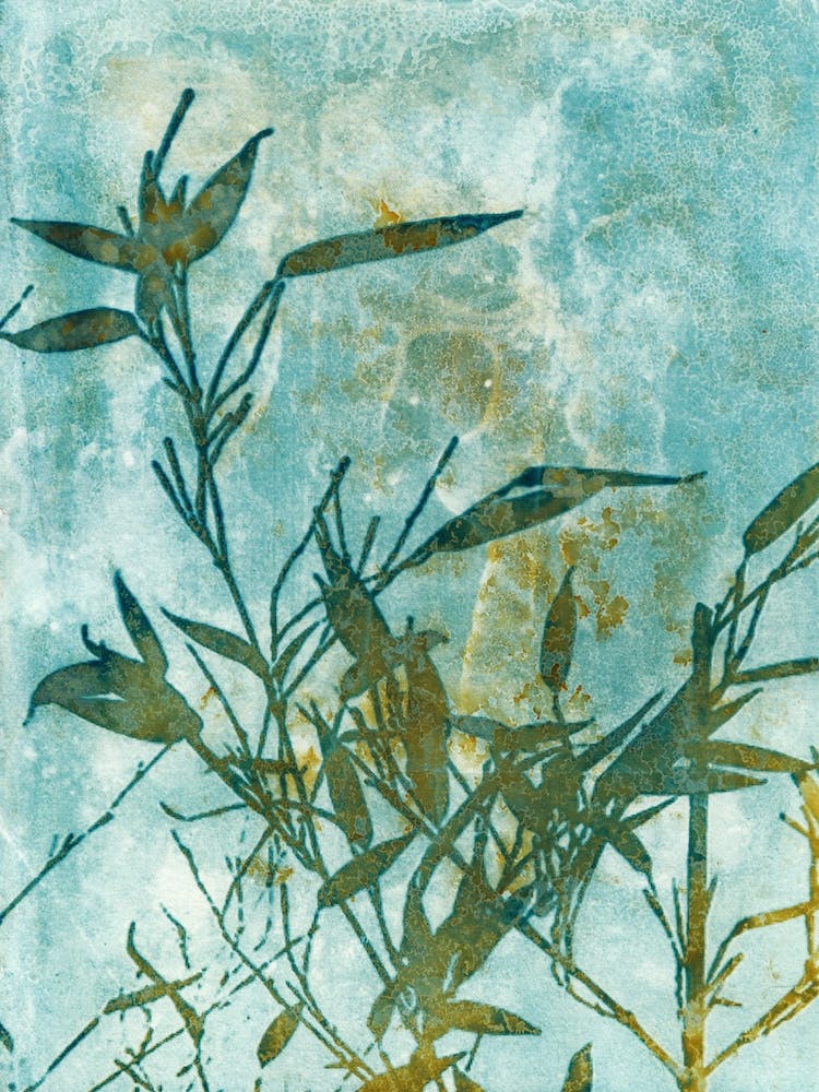 Bamboo Impressions