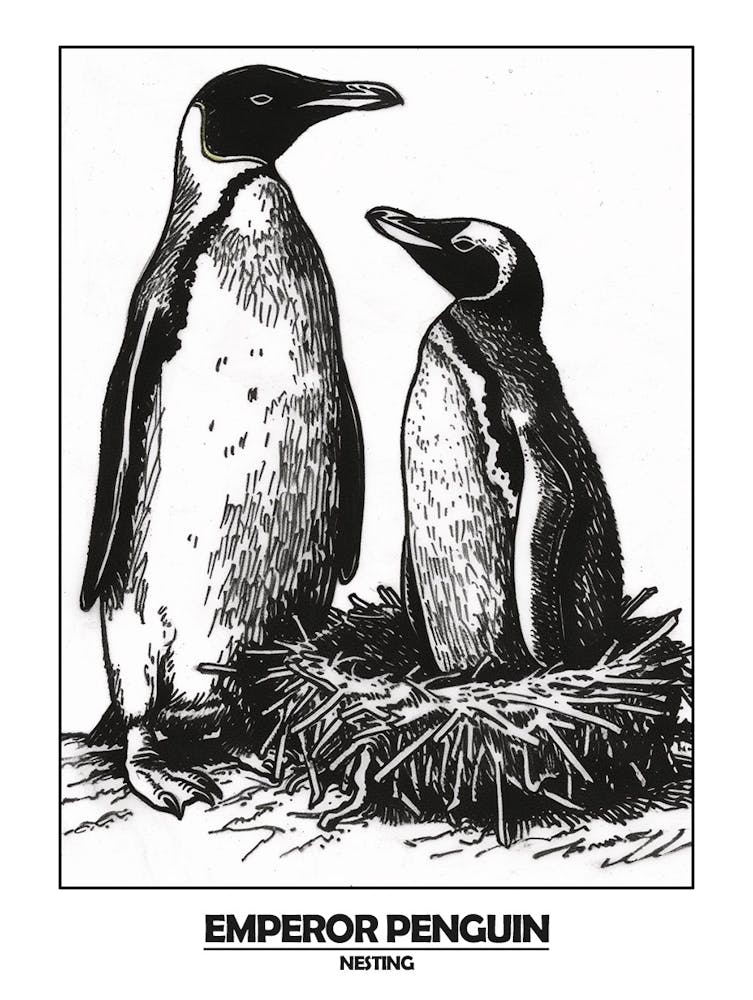 Penguin Nesting Poster 7