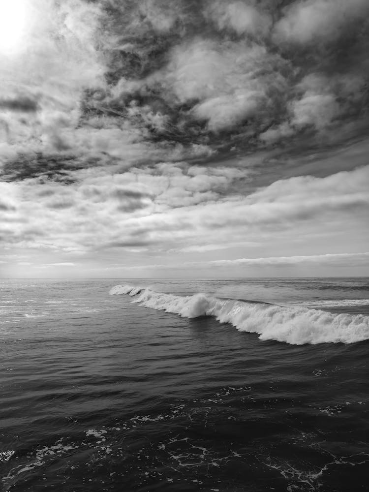 Monochrome San Diego