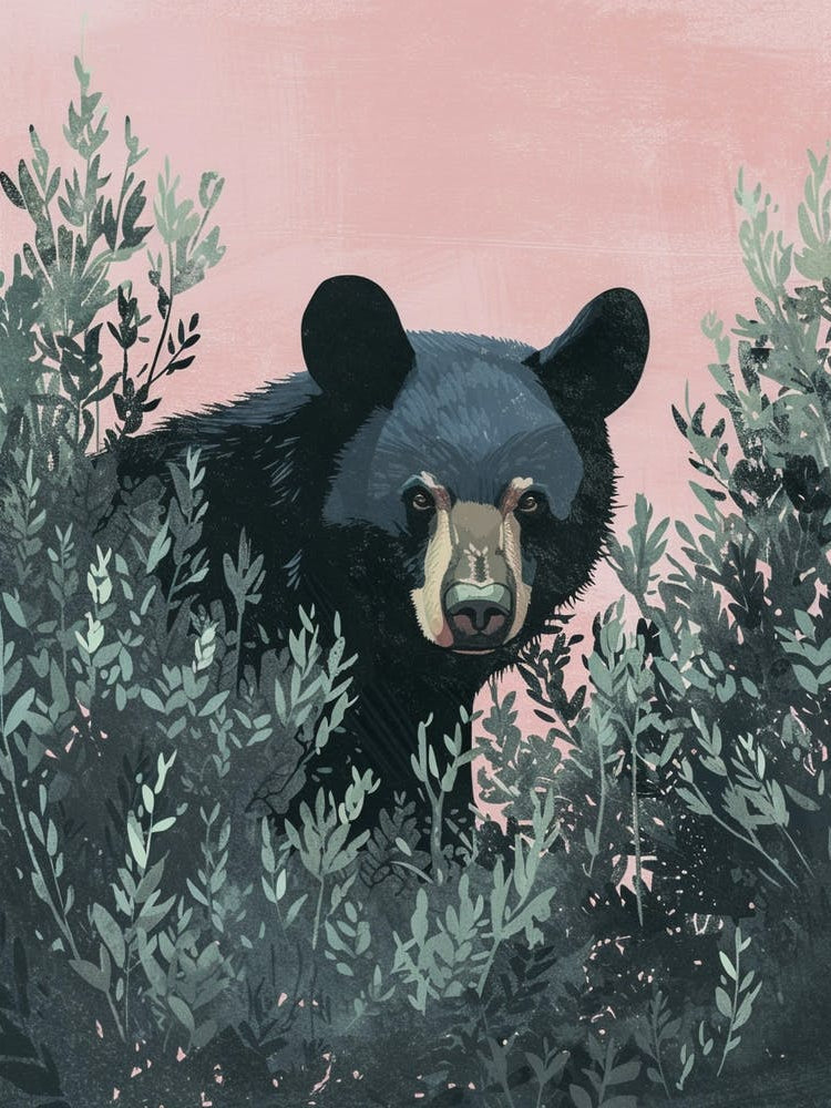 American Black Bear Hiding In Bushes Storybook Illustration 3