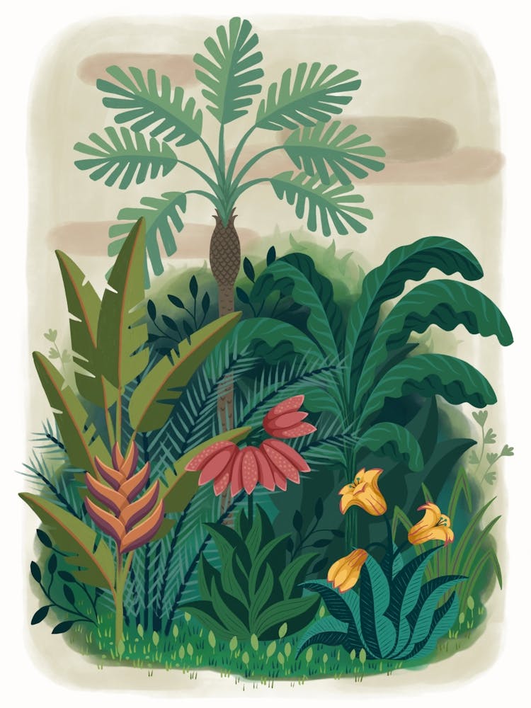 Tropical Jungle Illustration