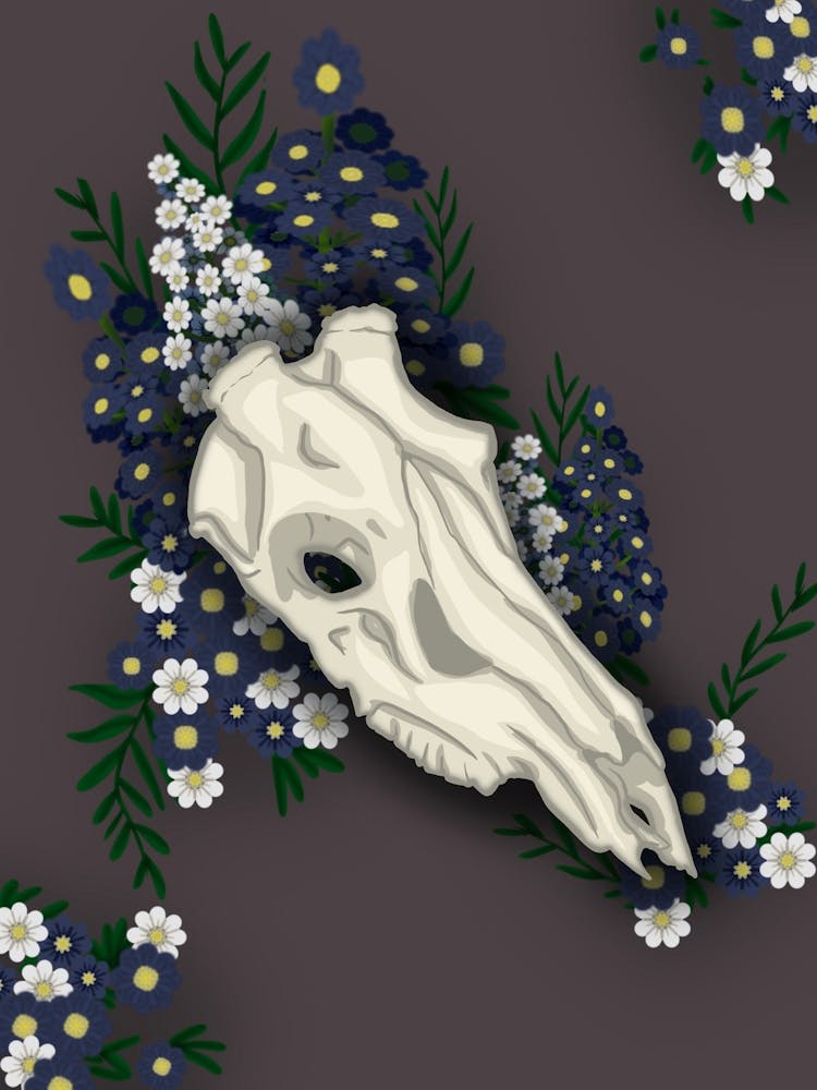 Beautifully dead