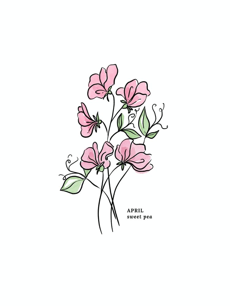 April Sweet Pea Birth Flower