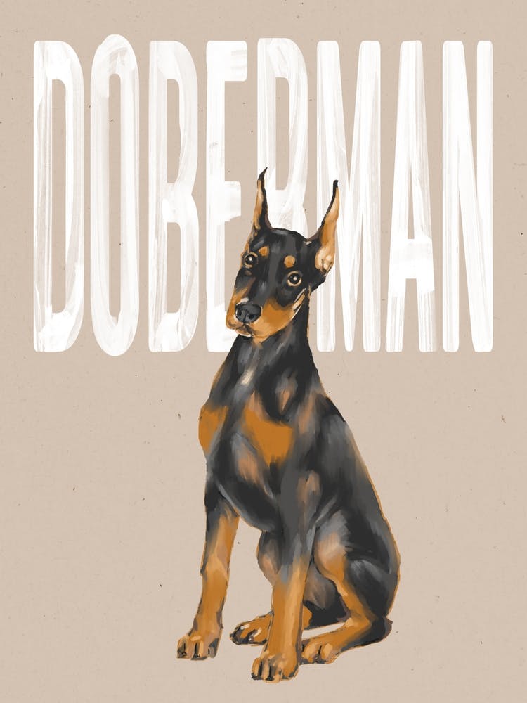 Doberman Template