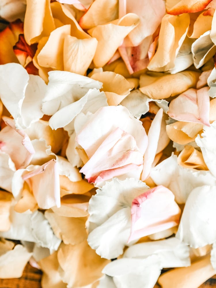 Flower Petals