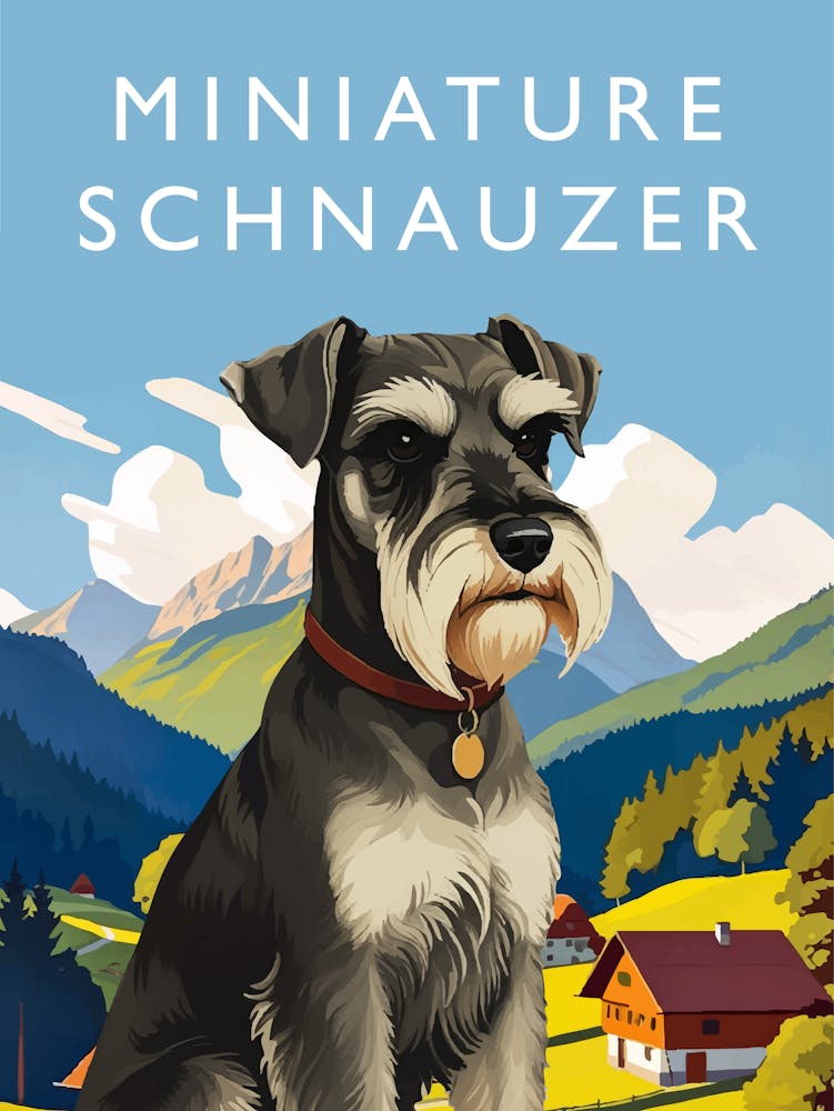 Miniature Schnauzer