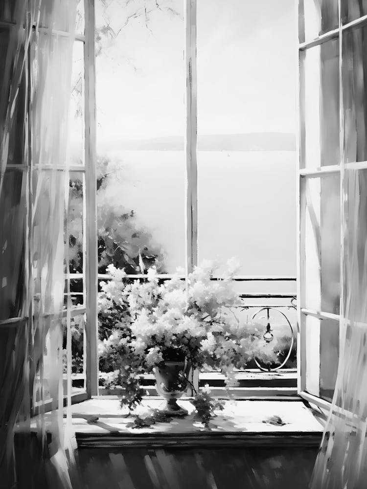 Window View