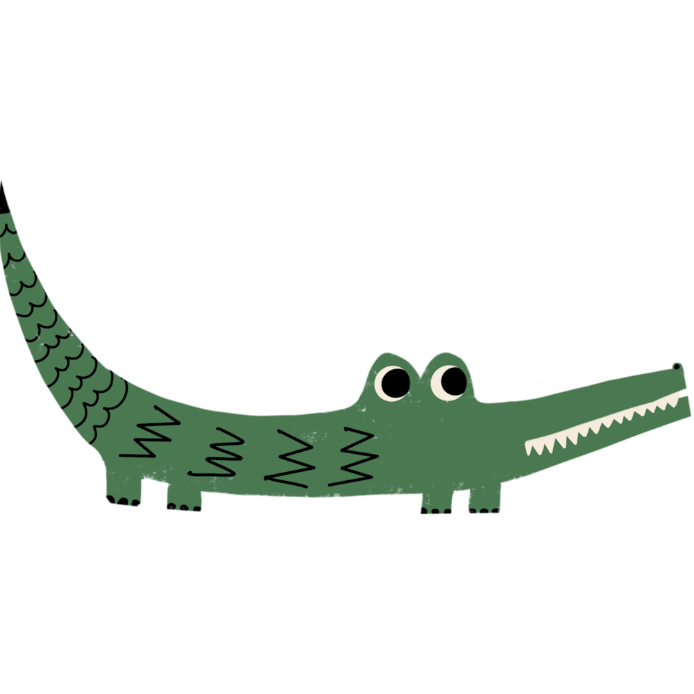 Cute Funny Crocodile