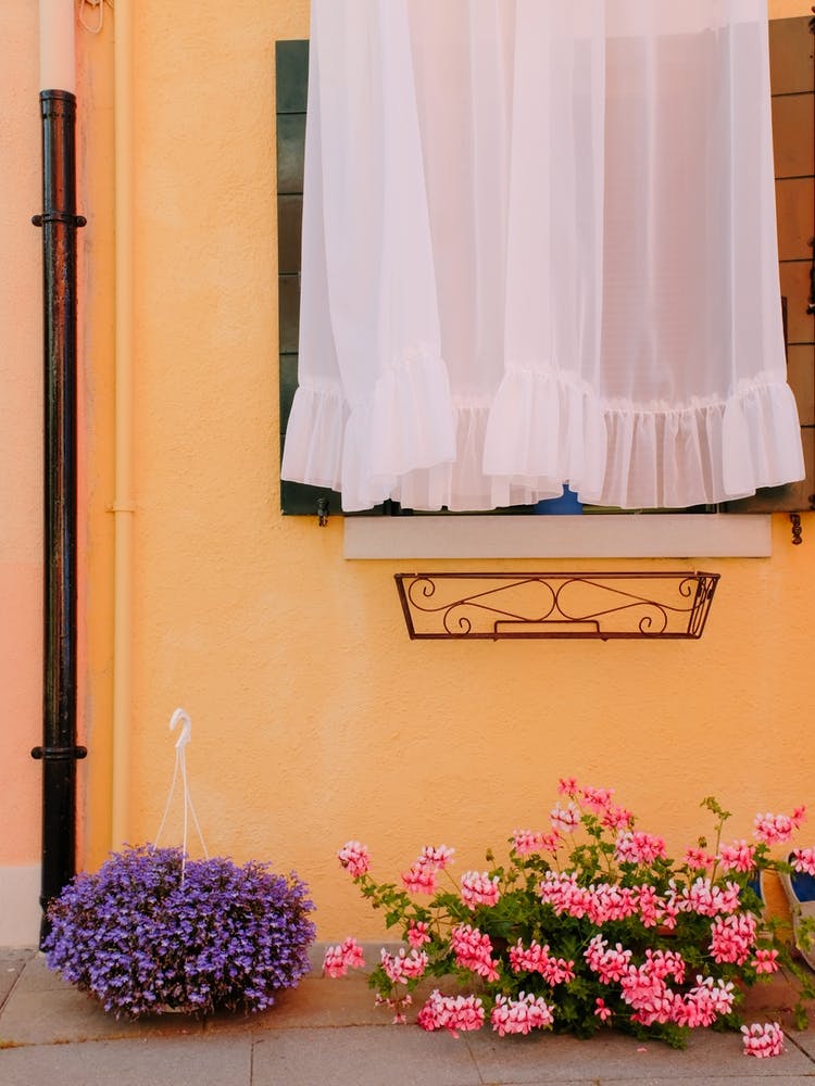 Italian Window And Flowers